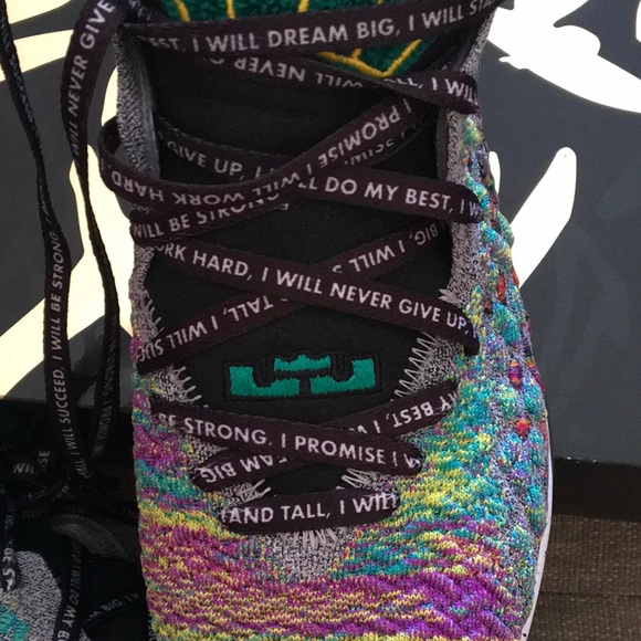 Nike LeBron XVll LJFF - Picture 8 of 9